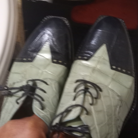 Exclusive Mauri alligator shoes for City Slickers shoe store - Picture 9 of 9